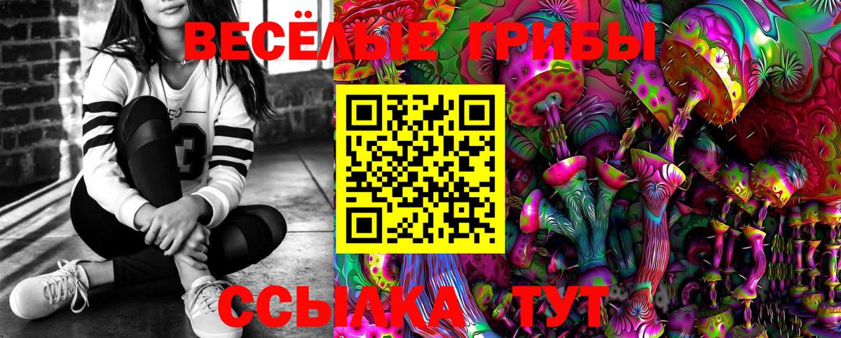 Галлюциногенные грибы Psilocybe  Вход с VPN  Нефтекамск  купить наркотики цена  Галлюциногенные грибы GOLDEN TEACHER 