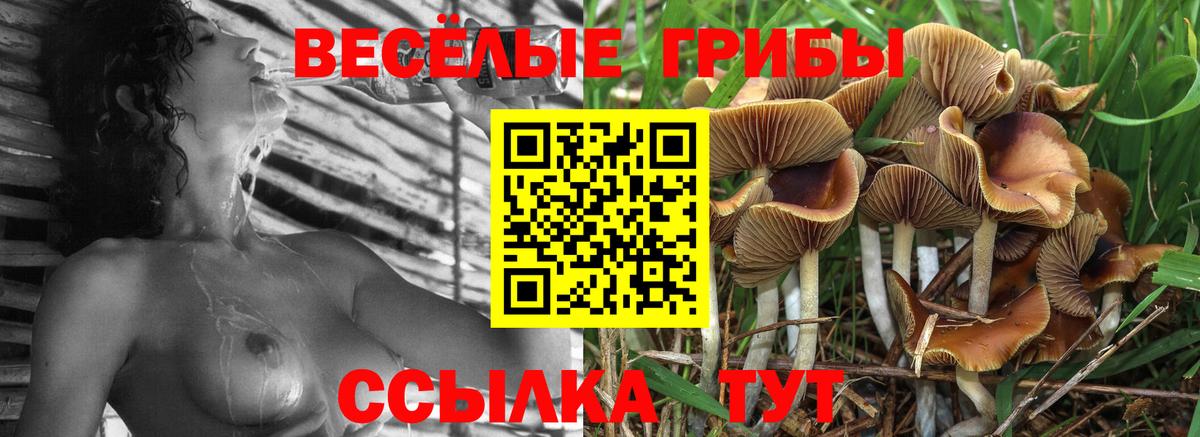 Галлюциногенные грибы прущие грибы Нефтекамск